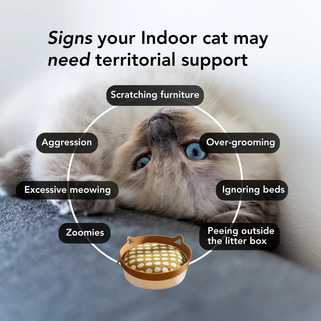 The Instinct Basket | Handwoven Cat Bed